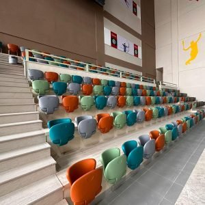 recreatıon 65